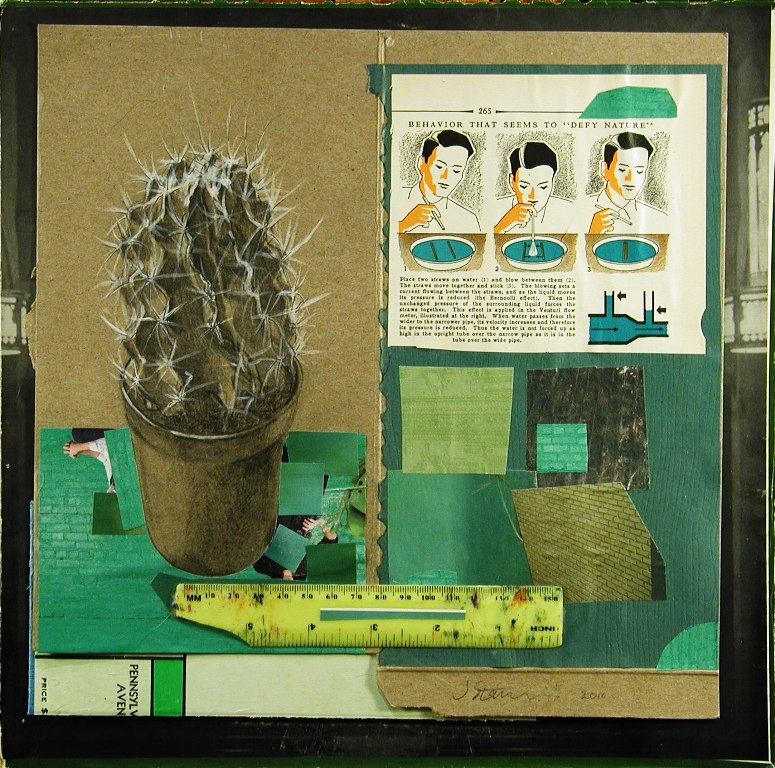 Image result for cactus on album covers